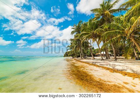 Bois Jolan Beach In Guadeloupe, French West Indies. Lesser Antilles, Caribbean Sea
