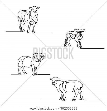 Continuous One Line Drawing Set Of Sheeps. Design Elements For Islamic Holidays. Vector Illustration