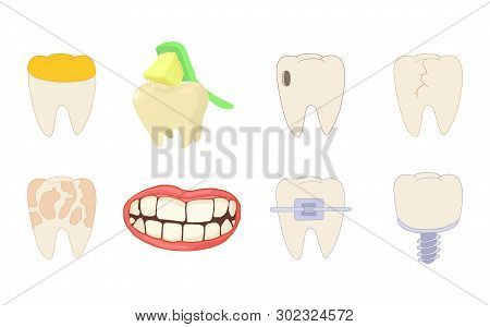Tooth Icon Set. Cartoon Set Of Tooth Icons For Web Design Isolated On White Background