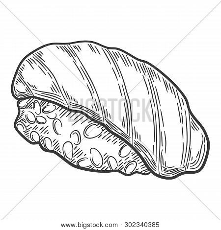 Nigiri Sushi Species. Engraving Sketch Style Illustrations. Isolated Line Sushi On White Background.