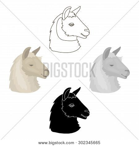 Lama Icon In Cartoon, Black Style Isolated On White Background. Realistic Animals Symbol Stock Vecto