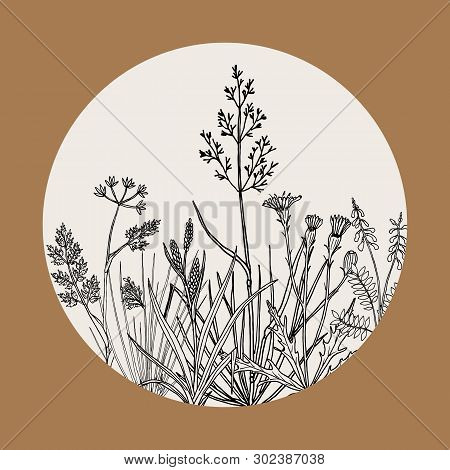 Floral Background With Hand Drawn Wild Flowers, Herbs And Grasses. Vintage Botanical Vector Illustra