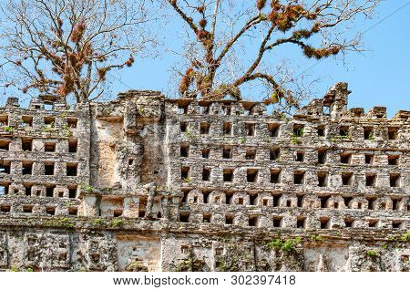 Ruins At The Maya Archaeological Site Of Yaxchilan, Chiapas, Mexico