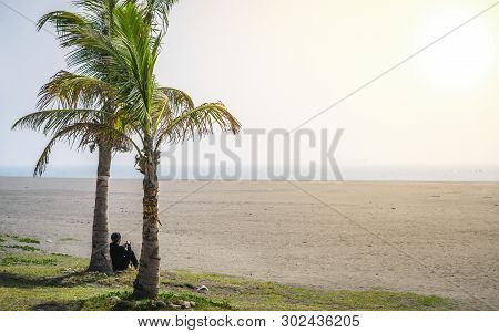 Asian Man Silhouette Looking At Sunset Under A Palm Tree On The Beach Of Cijin Island Kaohsiung Taiw