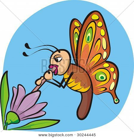 ผีเสื้อกระหายน้ำ