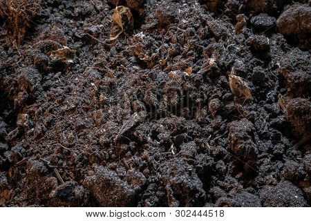 Dark Texture Of Black Dirt Ground. Top View Of Black Earth Surface, Agriculture Background