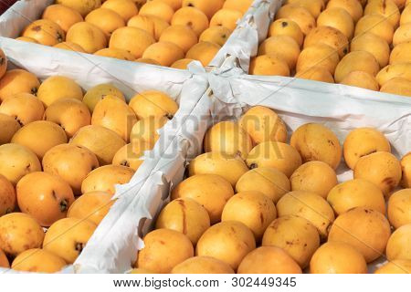 Loquat Fruit Or Japanese Medlars On Crates At Farmers Market