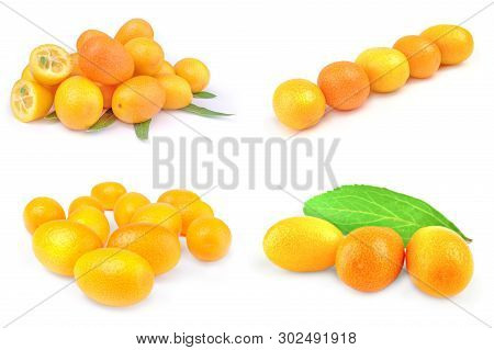 Collection Of Kumquats Isolated On A White Cutout