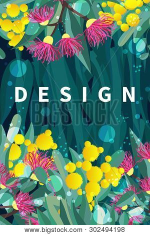 Tropical Australian Nature Background. Vector Illustration Of Eucalyptus Leaves And Flowers, Bloomin