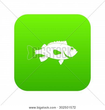 Sea Bass Fish Icon Digital Green For Any Design Isolated On White Illustration