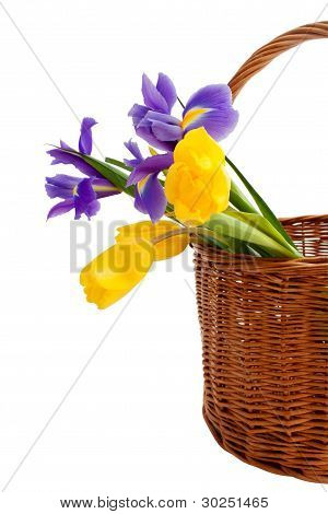 Den delikate Bouquet af forårsblomster i en kurv
