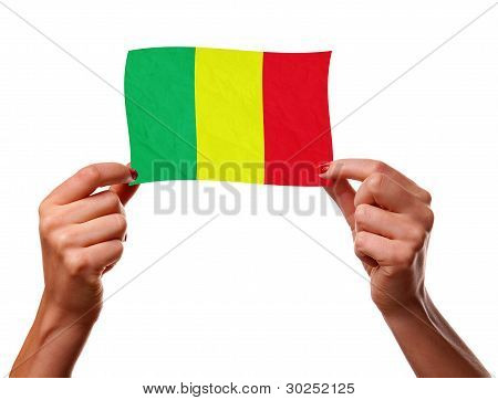 ธง Malian