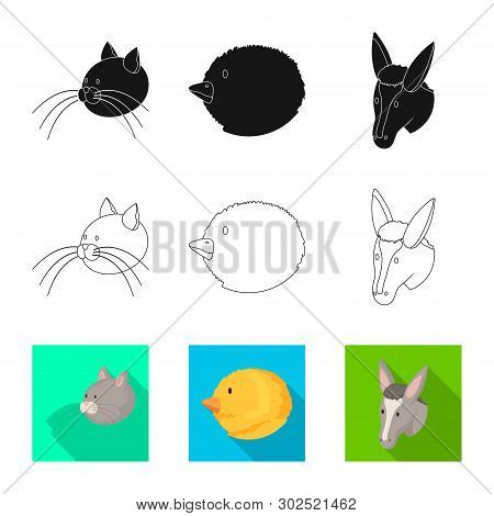 Vector Design Of Agriculture And Breeding Logo. Collection Of Agriculture And Organic  Vector Icon F