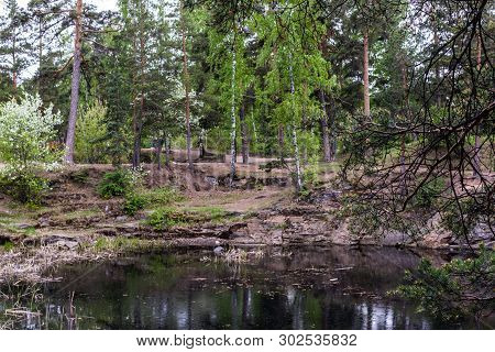 Stone Quarry With Water In The Park Around Pine And Birch Trees