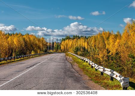 The Highway Through The Autumn Wood In Sunny Day, Mari El, Russia, 88k-002