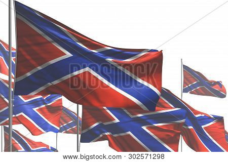 Pretty Labor Day Flag 3d Illustration
 - Many Novorossia Flags Are Waving Isolated On White