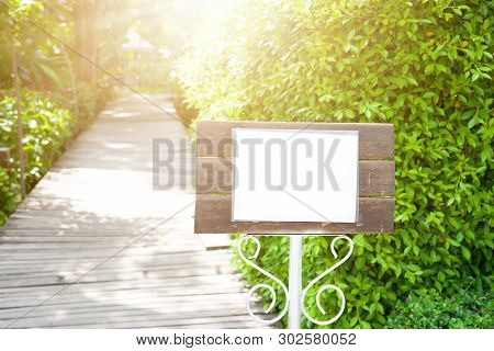 Signpost Wooden And Walkway Wooden In The Garden And Sunlight In Summer With Beautiful Green Tree.