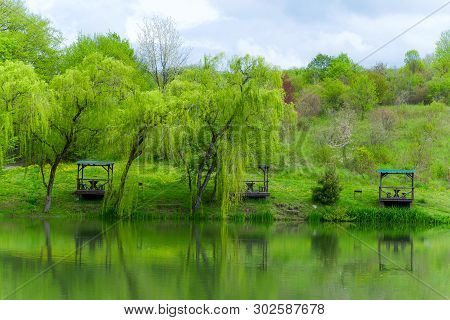 Wooden Gazebos And Weeping Willows On The Lakeshore In  A Clear Sunny Day And Their Reflection In Th