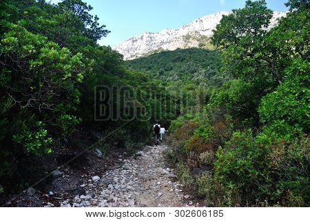 Path In Oddoene Valley  To Gorropu Canyon