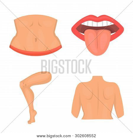 Isolated Object Of Body And Part Icon. Collection Of Body And Anatomy Vector Icon For Stock.