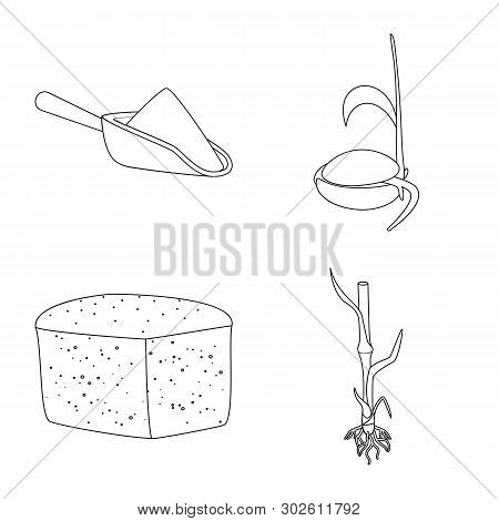 Vector Illustration Of Agriculture And Farming Icon. Set Of Agriculture And Plant  Vector Icon For S