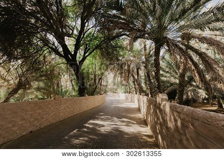 View Of The Unesco Enlisted Oasis In Al Ain, Uae