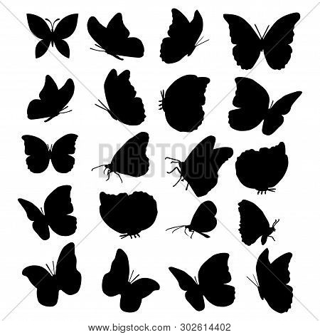 Set Of Butterflies, Isolated On White, Collection Of Silhouettes