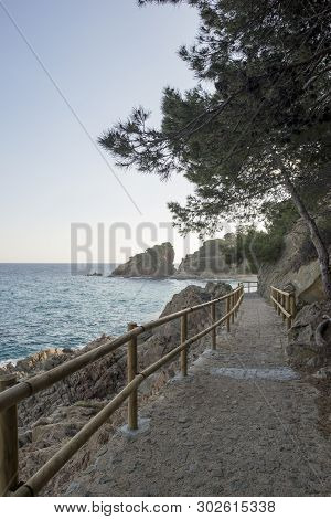 Cala De Sant Francesc In Blanes, Costa Brava
