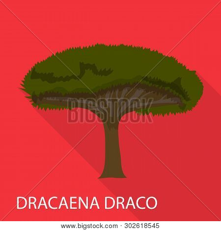 Dracaena Draco Icon. Flat Illustration Of Dracaena Draco Icon For Web
