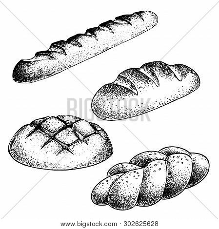 Fresh Baked Bread Set. French Baguette, Loaf Buns, Braid Bun. Hand Drawn Sketch Style Illustrations 