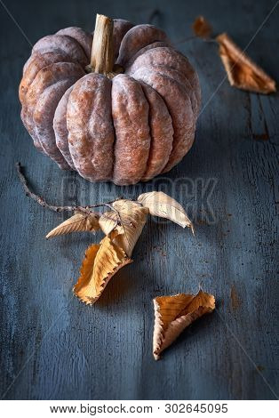 Muscat Pumpkin (musquеe De Provence In French) With Dry Autumn Leaves On Dark Rustic Wood