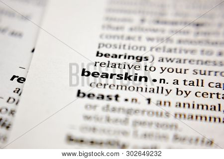 Word Or Phrase Bearskin In A Dictionary.