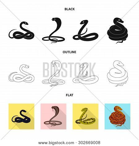 Vector Design Of Mammal And Danger Symbol. Set Of Mammal And Medicine Vector Icon For Stock.