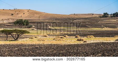 Landscape View On The Road From Gondar To The Simien Mountains, Noth Ethiopia, Africa.