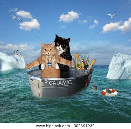 The Two Brave Cats Are Drifting In The Steel Washtub Among The Icebergsin The Sea. Their Ship Is Cal