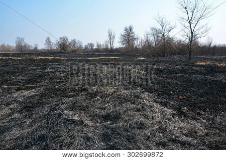 Burning Dead Grass In Spring. The Reasons For Spring Grass Burning Are Largely Unfounded And Rather 