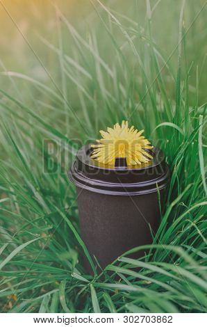 Cardboard Cup Of Coffee With A Dandelion On The Lid On The Background Of Green Grass And Sunlight. M