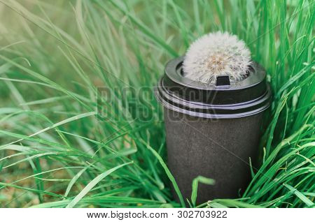 Cardboard Cup Of Coffee With A Dandelion On The Lid On The Background Of Green Grass And Sunlight. M