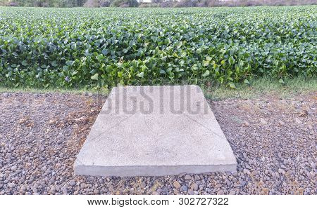 Fisher Plattform Surrounded  By Invasive Water Hyacinth, Taking Over The Whole Course Of Guadiana Ri