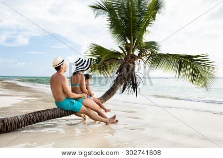 Side View Of A Family On Palm Tree On Sand Near The Sea At Beach