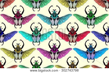 Seamless Pattern With Goliath Beetle. Vector Illustration