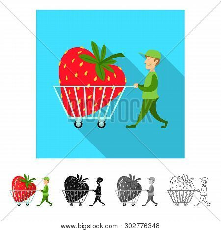 Isolated Object Of Man And Strawberry Sign. Collection Of Man And Shopping Stock Symbol For Web.