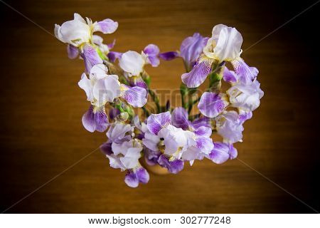 Beautiful Blue Fleuret- Iris. It Is On Wooden Background