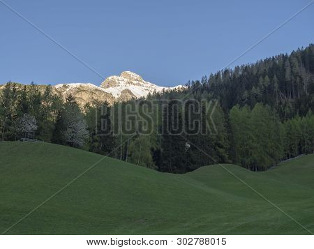 Green Spring Meadow With High Seat And Blooming Trees, Forest And Snow Covered Mountain Peak In Stub