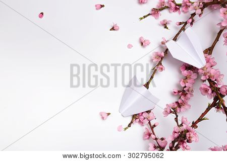Peach Blossom On White Background And Paper Plane .