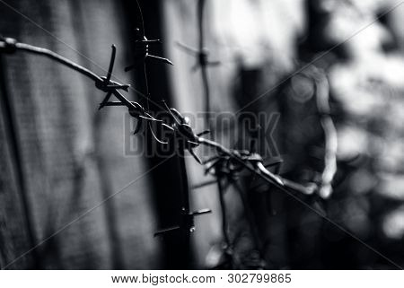 Barbed Wire On The Fence Close Up