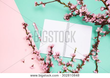 Mock Up Notebook And Sprigs Of The Apricot Tree With Flowers On Pastel Colour Background . Place For