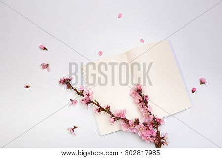 Mock Up Notebook And Sprigs Of The Apricot Tree With Flowers On White Background . Place For Text. T
