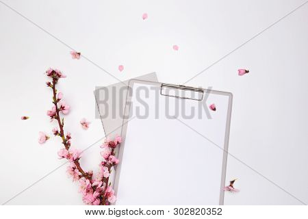 Mock Up Notebook And Sprigs Of The Apricot Tree With Flowers On White Background . Place For Text. T