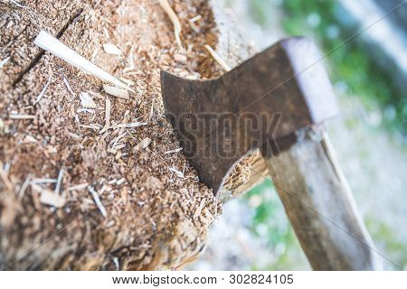 Old Axe Attached To A Tree Trunk, Alpine Hut